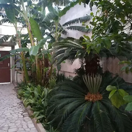 Il Giardino Di Antonella 2 *